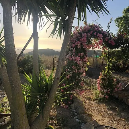 Nyaraló Ninas